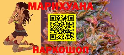 МДПВ Гатчина