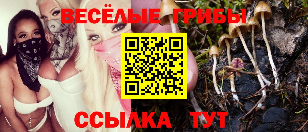 Галлюциногенные грибы ЛСД  Вход с VPN  Назарово 